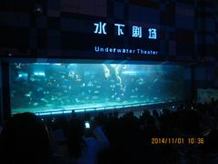 -泉城欧乐堡海洋极地世界