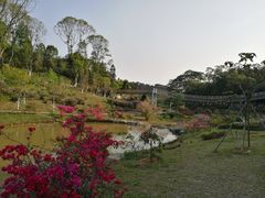 -东莞植物园
