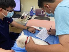 -美联众合动物医院·24h京西诊疗中心