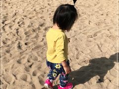 -大兴滨河森林公园