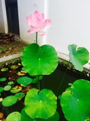 点击看大图 -莲生母婴月子中心(清水河公园店)
