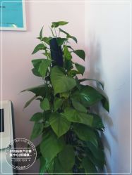 -时尚妈咪产后修复中心