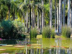 -中国科学院西双版纳热带植物园