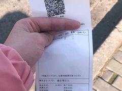 -上海中医药大学附属曙光医院(东部)