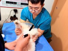 -美迦爱-牙专科·兔科·骨科诊疗中心(北苑店)