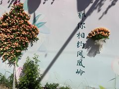 -北京凤凰岭