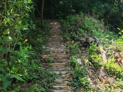 -华侨城湿地公园