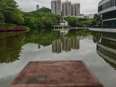 -深圳国际园林花卉博览园