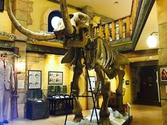 -信不信由你博物馆