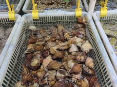 -乐兴海鲜餐厅