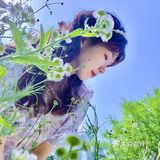 假期浪计划 | 双龙湖花花世界打卡拍照