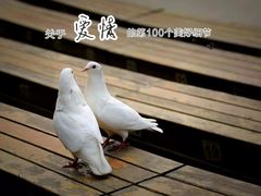-音乐台