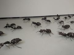 -四川美术学院美术馆