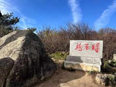 -王顺山国家森林公园