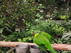 -南宫五洲植物乐园