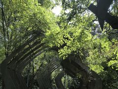 -长广溪湿地公园