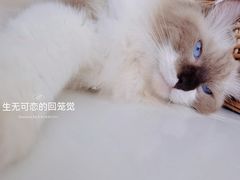-灯塔咖啡馆BOOK·Coffee Shop