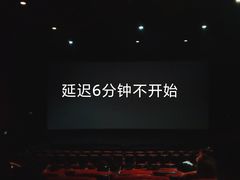 -万达影城(东城万达广场IMAX店)