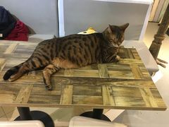 -小时光咖啡馆(开森度假森林店)