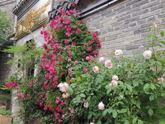 -回龙窝历史文化街区