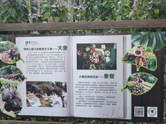 -野象谷景区