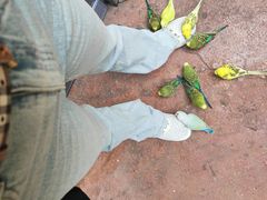 -正佳雨林生态植物园