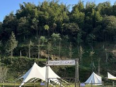 -长沙黑麋峰国家森林公园