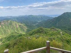 -大岭沟猕猴桃谷风景区
