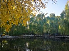 -玲珑塔公园