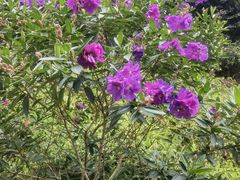 -沙河粉村·国家非遗传承(云台店)