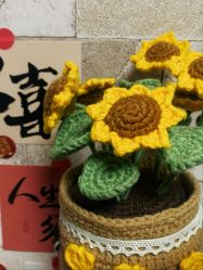 -Oasis Beauty水磨坊科技美肤中心