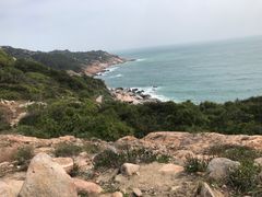 -广东惠东海龟国家级自然保护区