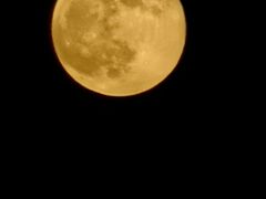 -琶醍壹号•潮菜江景餐吧