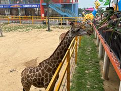 -西霞口神雕山野生动物世界