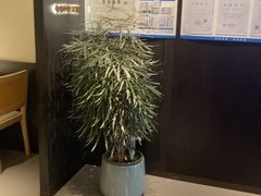 -鑫花溪牛肉米粉(凤凰街创始总店)
