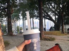 -雾鲜(KKMALL店)