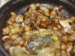 -马仕玖煲·融合菜·酥不腻烤鸭(人大店)