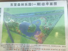 -东营·森林乐园