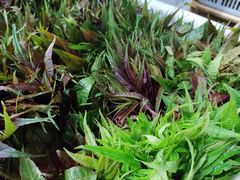 -乐山第一家临江鳝丝(茶坊路店)