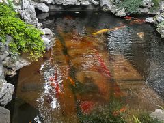 -鲤院·新中式美学·庭院餐厅(夫子庙店)