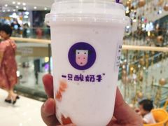 -一只酸奶牛(汕头金平万达广场店)