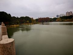 -昆山城市生态森林公园