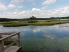 -塞罕坝国家级自然保护区