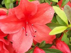 -上海植物园·停车场