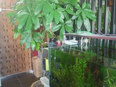 -繁花足道(梅江店)