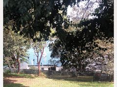 -悉尼歌剧院