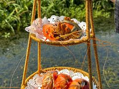 -小陆莲花蟹园农家乐(莲花岛店)