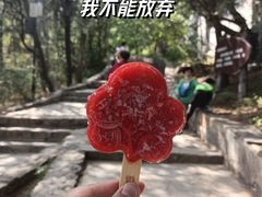 -香山公园