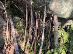 -中国花亭湖风景名胜区-西风禅寺