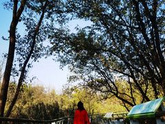 -西湖风景区-江洋畈生态公园